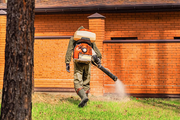 Trusted Ant Control service in Sells, AZ - Nex Pest Control